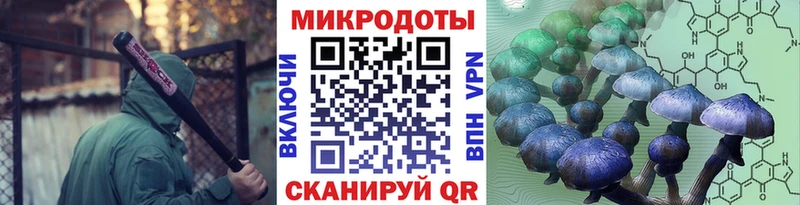 хочу   Городовиковск  Псилоцибиновые грибы мухоморы 