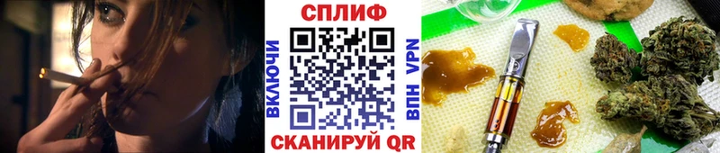 мега маркетплейс  Городовиковск  Каннабис SATIVA & INDICA  где можно купить наркотик 